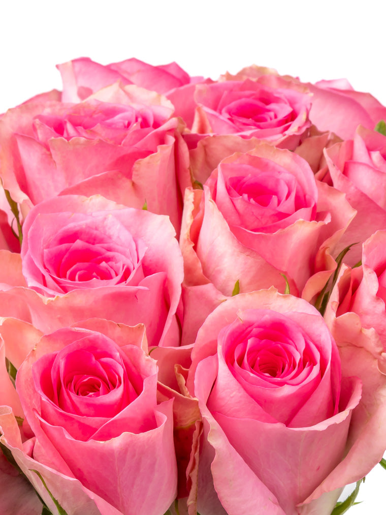 Rose Pink Smoothie FleurAfrica