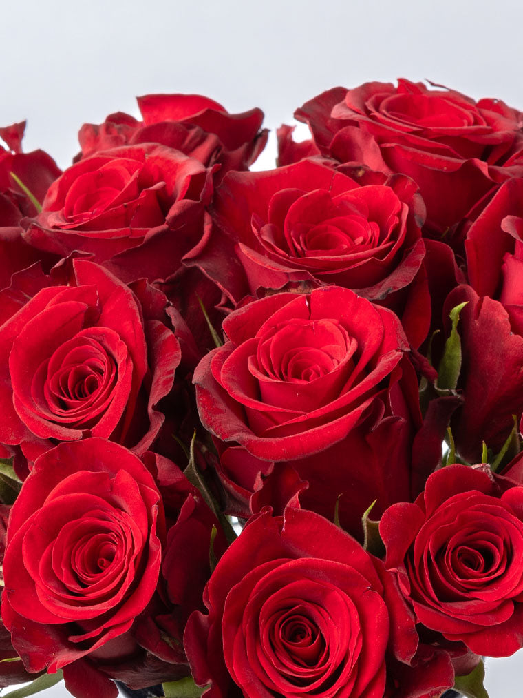 Rose Red Million Reasons FleurAfrica