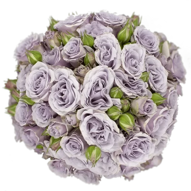 Spray Rose Purple Silver Mikado Alma