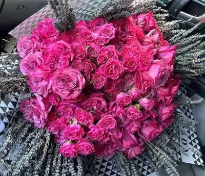 Pink Flowers