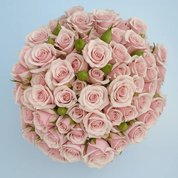 Spray Roses