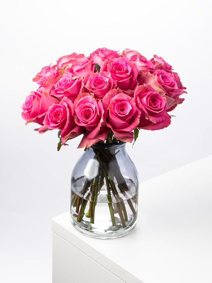 Rose Pink Annakyra VP Bemack