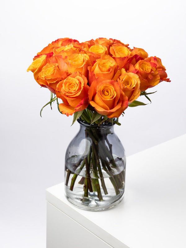 Rose Orange Confidential FleurAfrica