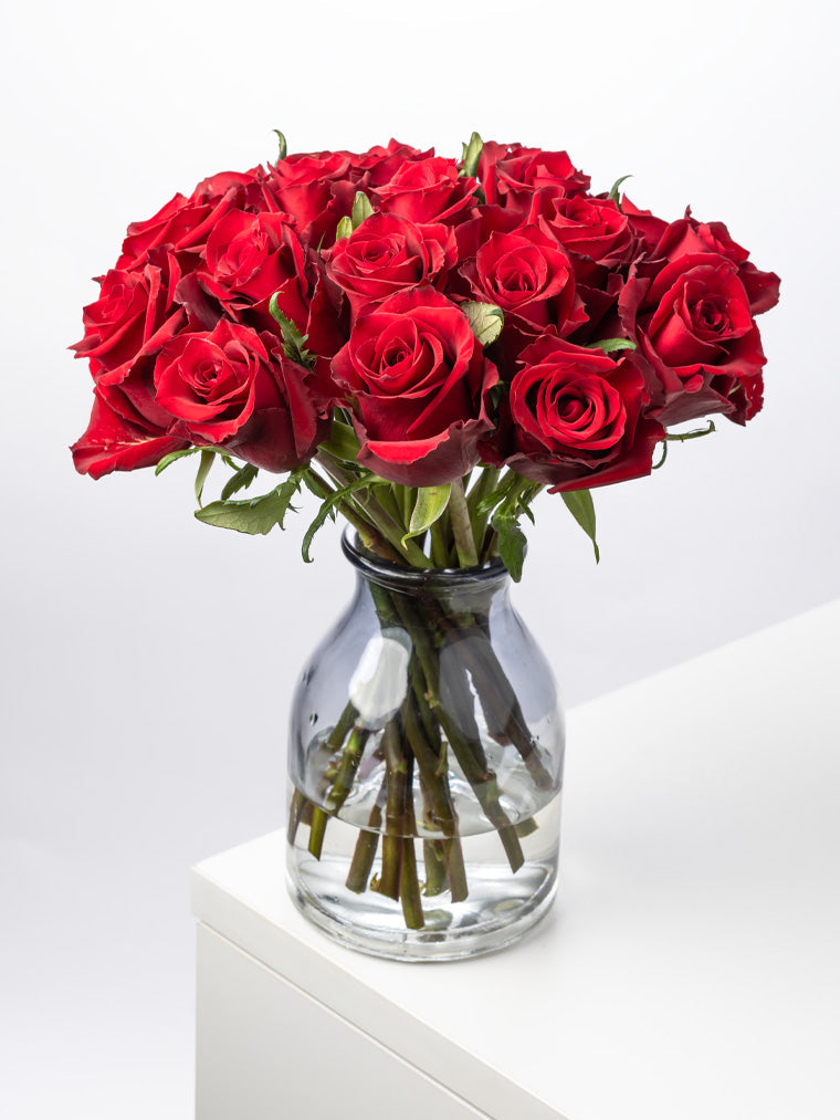 Rose Red Everred VP Bemack
