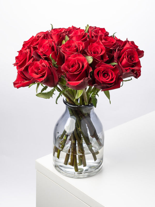 Rose Red Everred VP Bemack