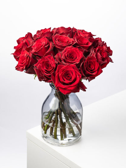 Rose Red Explorer VP Bemack