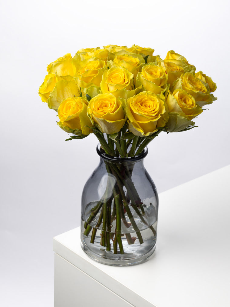 Rose Yellow Good Times VP Bemack