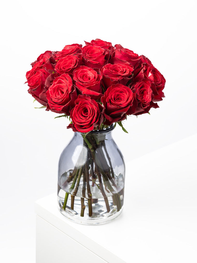 Rose Red Madame Red VP Bemack