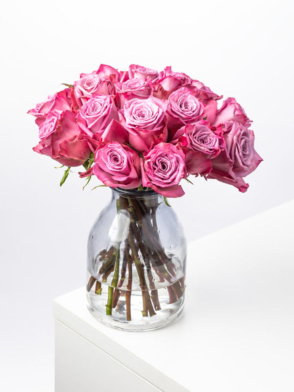 Rose Purple Moody Blues VP Bemack