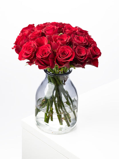 Rose Red Nazca VP Bemack