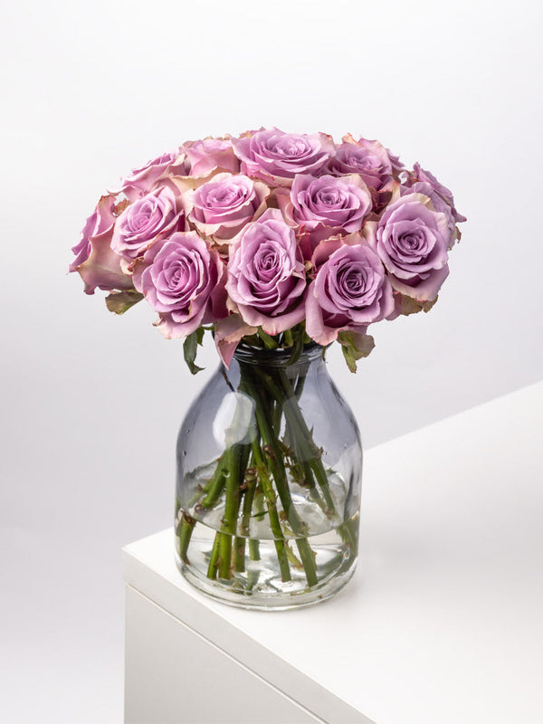 Rose Purple Nightingale VP Bemack