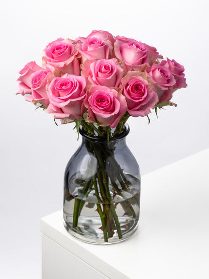 Rose Pink Revival VP Bemack