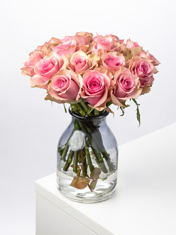 Rose Pink Rose Royce VP Bemack