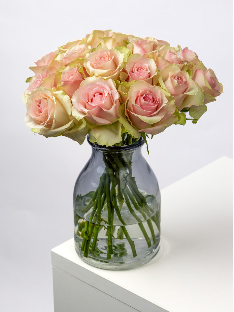 Rose Pink Belle Rose FleurAfrica