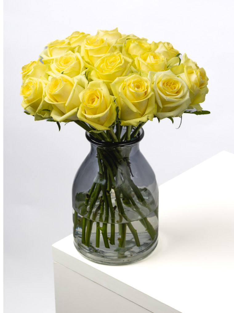 Rose Yellow Lemoncello VP Timau