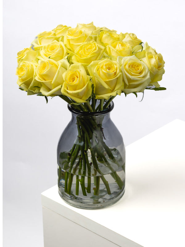 Rose Yellow Lemoncello VP Timau