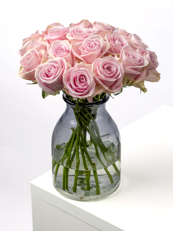Rose Pink Lena VP Timau