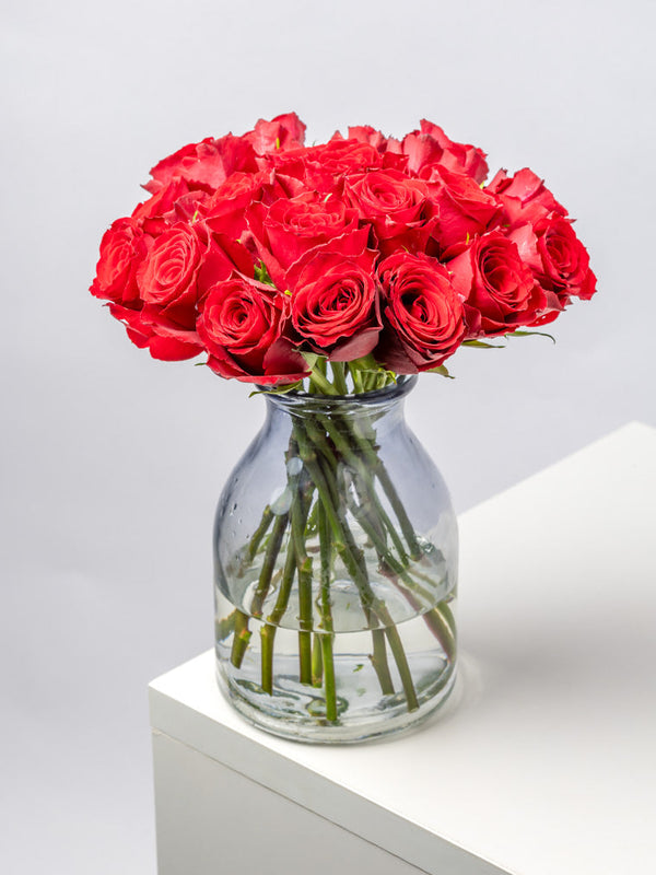 Rose Red Madam Red VP Timau