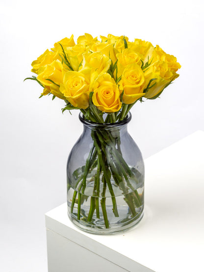 Rose Yellow Moonwalk VP Timau