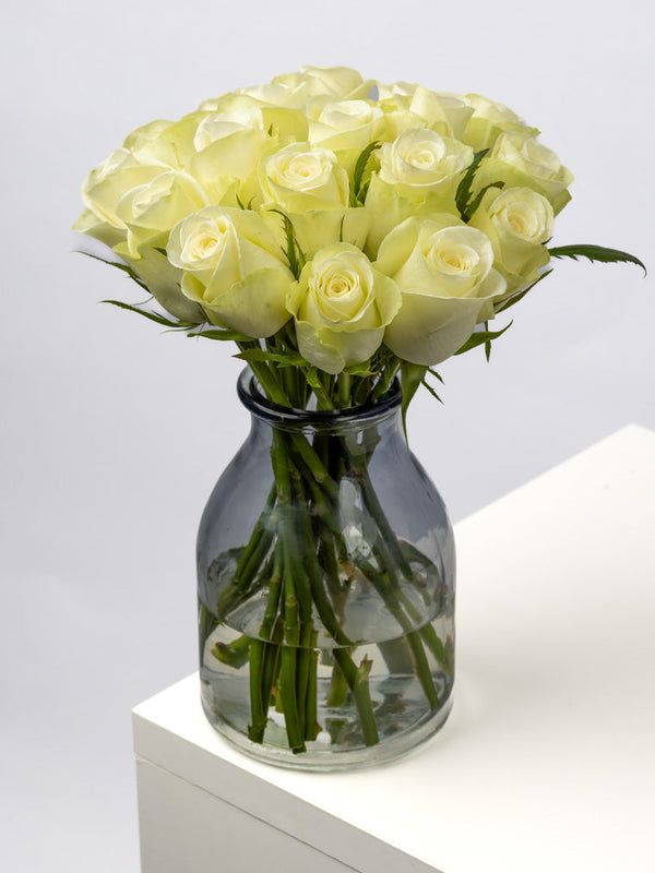 Rose White Natures White VP Timau