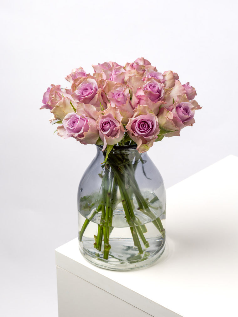 Rose Purple Nightingale VP Timau