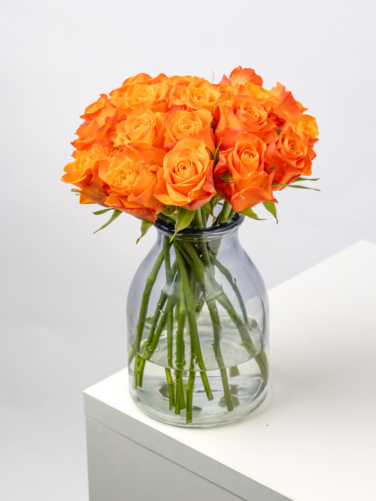 Rose Orange Orange Wave VP Timau