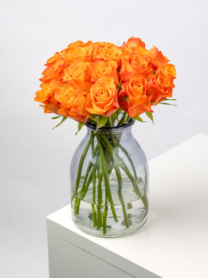 Rose Orange Orange Wave VP Timau
