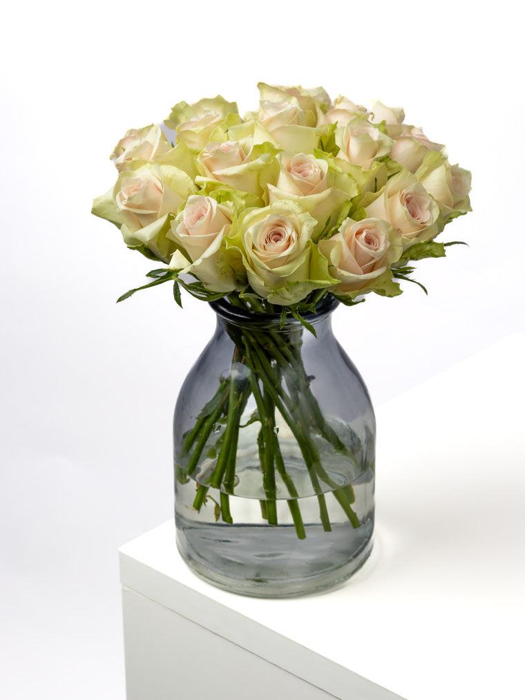 Rose Pink Athena Royale VP Timau