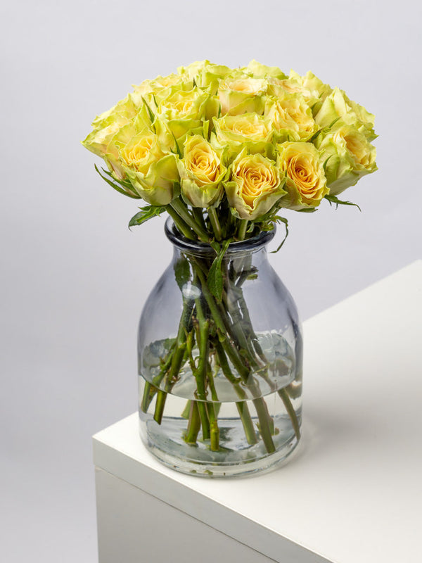 Rose Yellow Sandstorm VP Timau