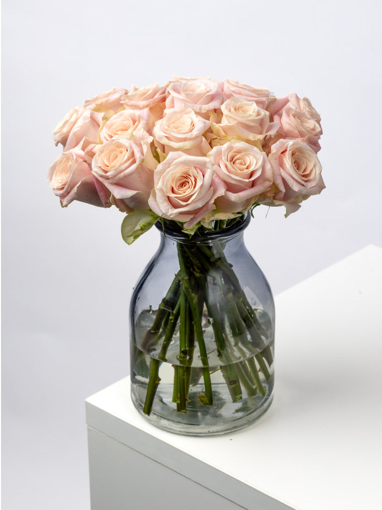 Rose Pink Sweet Mansi VP Timau
