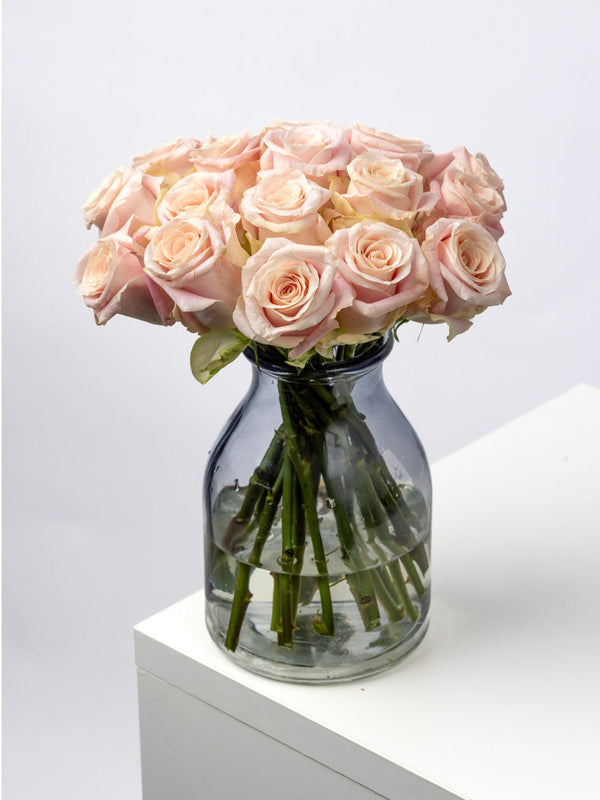 Rose Pink Sweet Mansi VP Timau