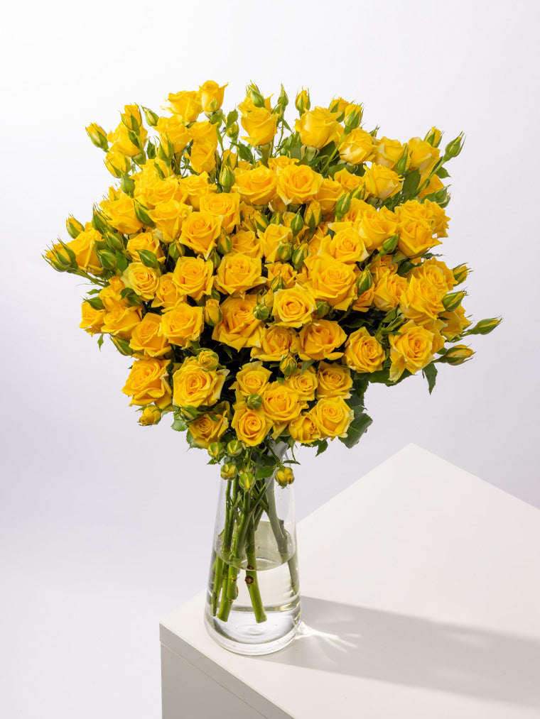 Spray Rose Yellow Mariah VP Gorge