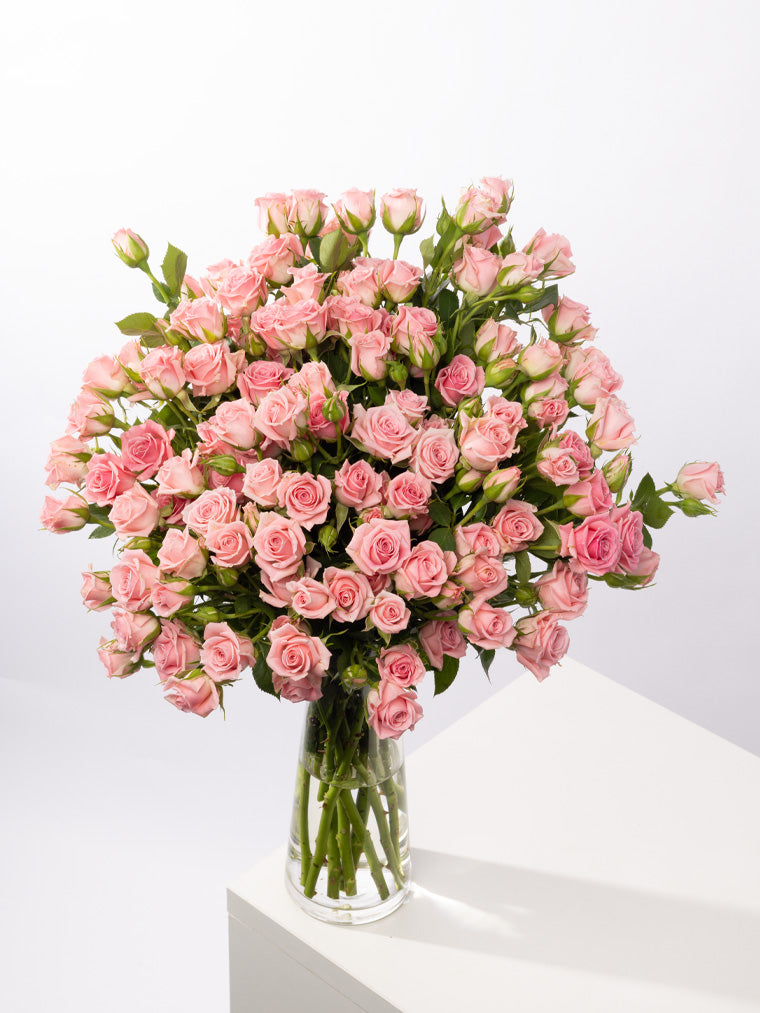 Spray Rose Pink Odilia VP Gorge