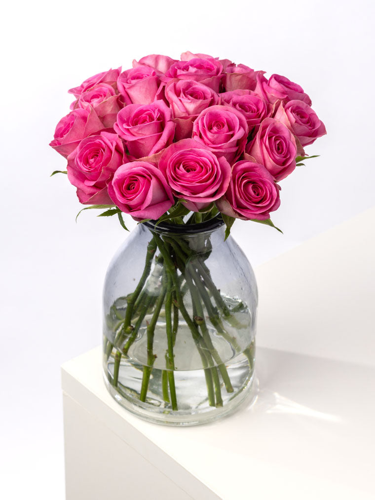 Rose Pink Pink Arrow FleurAfrica