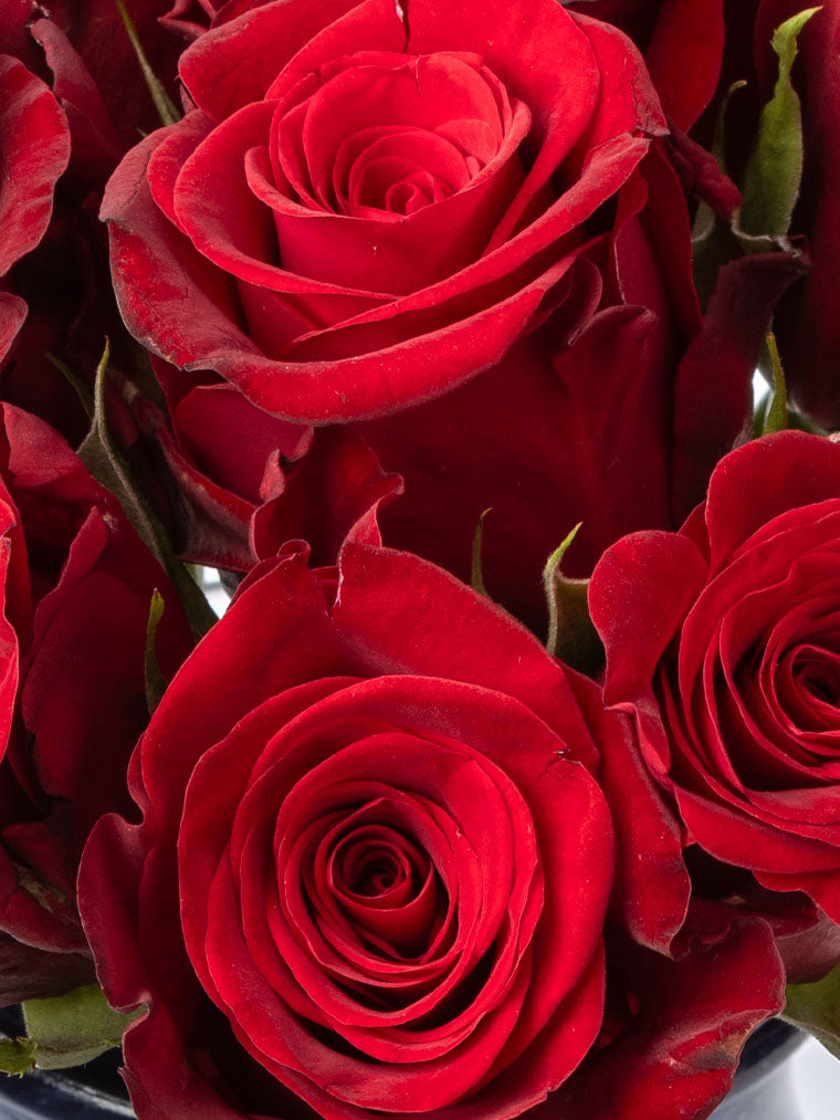 Rose Red Million Reasons FleurAfrica