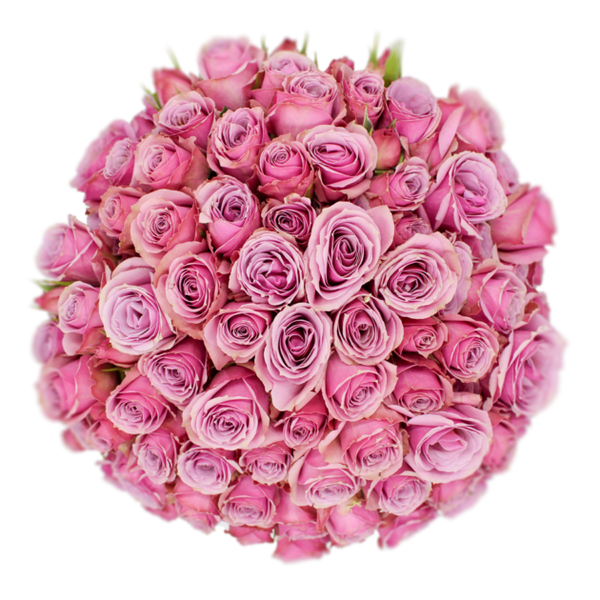 Spray Rose Lavender Lavender Irishka Alma