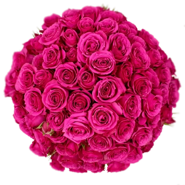 Spray Rose Purple Irishka Alma