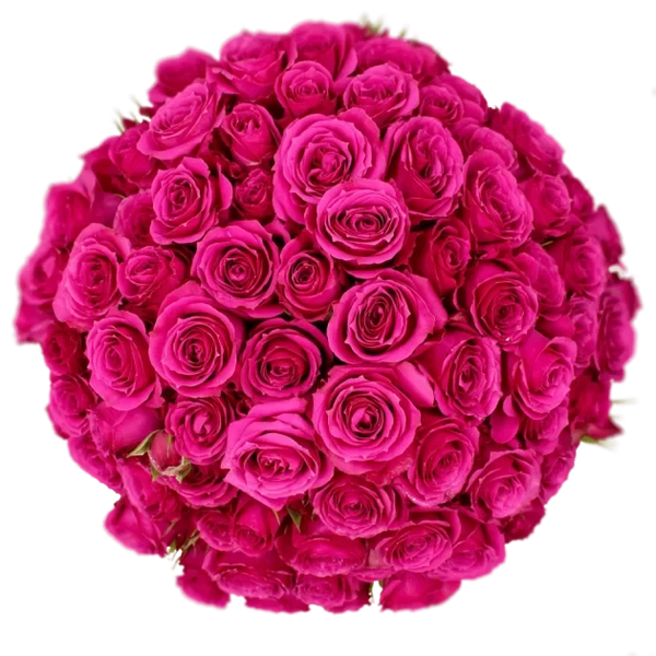 Spray Rose Purple Irishka Alma