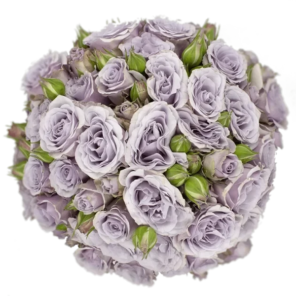 Spray Rose Purple Silver Mikado Alma
