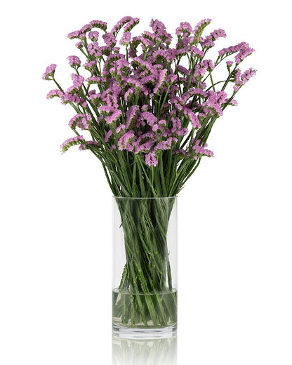 Statice Pink Fantasia Wings Blooming