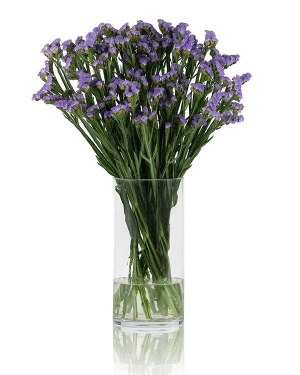 Statice Lavender Happy Wings Blooming
