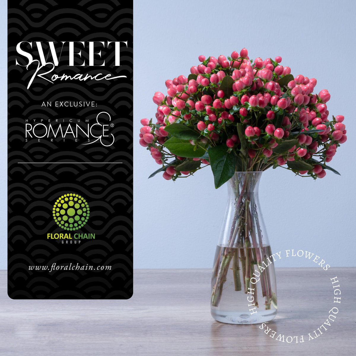 Hypericum Single Pink Sweet Romance Floral Chain