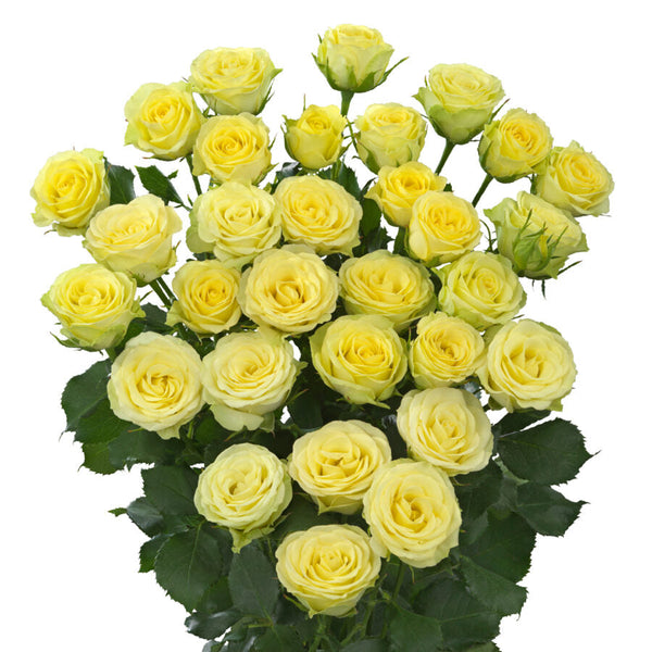Spray Rose Yellow Wedding Invite VP Gorge