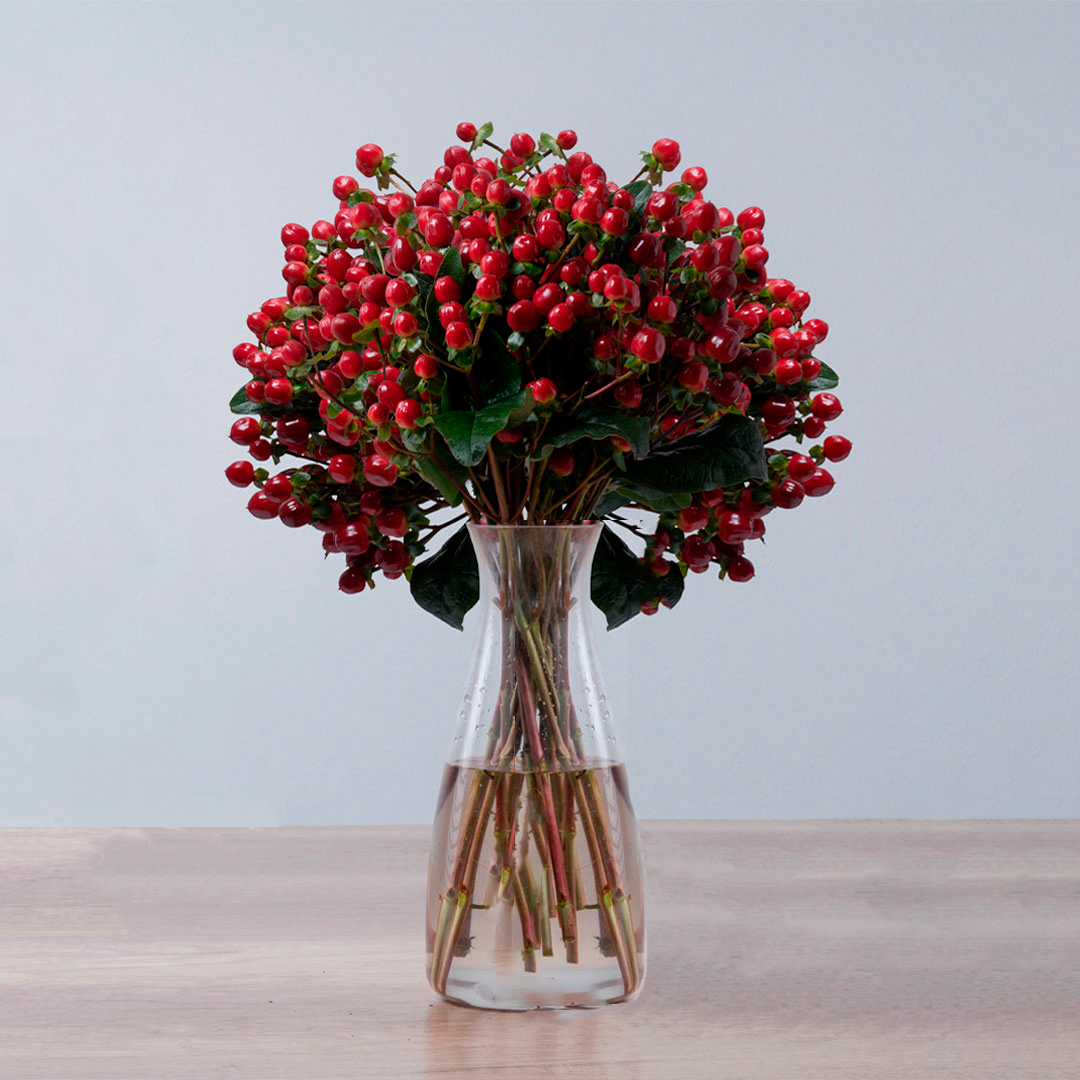 Hypericum Single Red True Romance Floral Chain