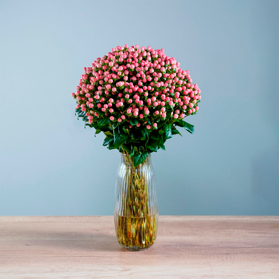 Hypericum Single Pink Lovely Romance Floral Chain