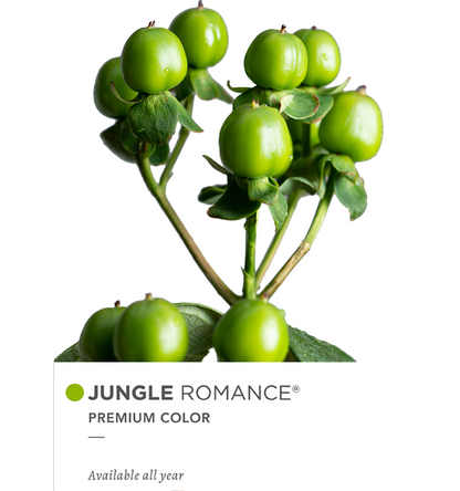 Hypericum Single Green Jungle Romance  Floral Chain