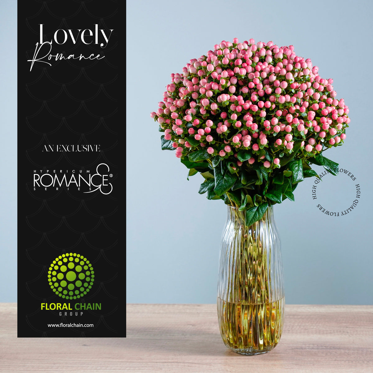 Hypericum Spray Pink Lovely Romance Floral Chain